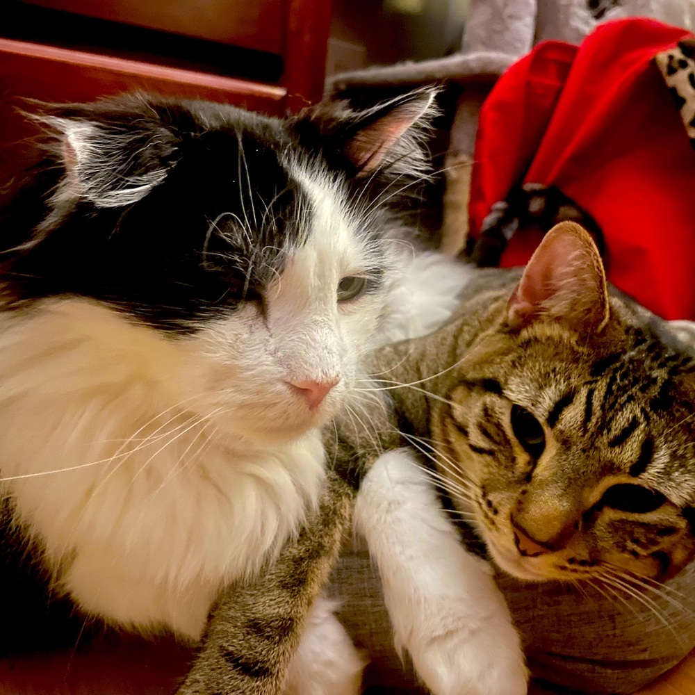 Meet your Posher, Jill